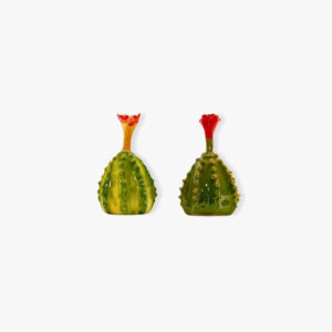 Cactus in ceramica 10cm