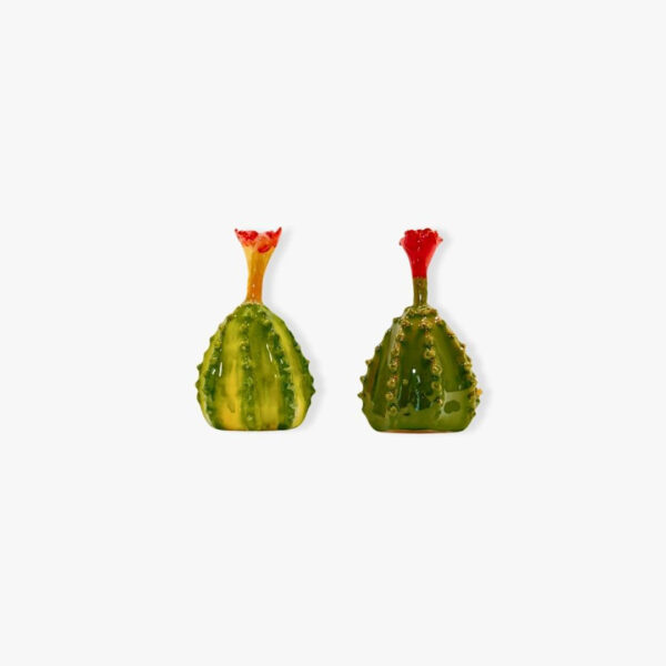 Cactus in ceramica 10cm