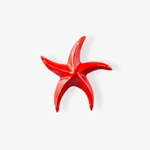 Stelle Marine - vari colori