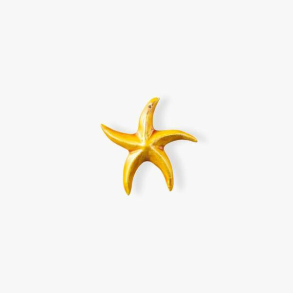 Stelle Marine - vari colori - immagine 3