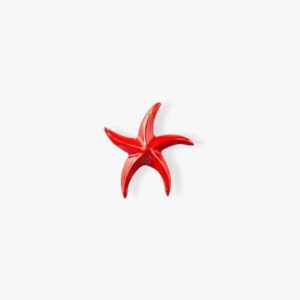 Stelle Marine - vari colori