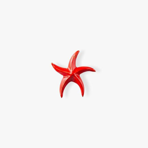 Stelle Marine - vari colori
